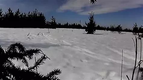 Je Me Branle En Foret Free Gay Porn Cc Xhamster