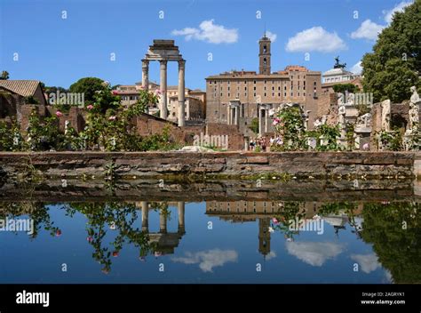 Rom Italien Forum Romanum Forum Romanum Foro Romano Blick Vom Haus