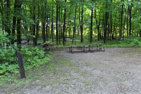 Photo Of Campsite 139 In Hilltop Campground At Bass Lake Provincial Park Ontario Canada