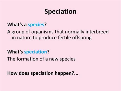 PPT - Speciation PowerPoint Presentation, free download - ID:2205204 
