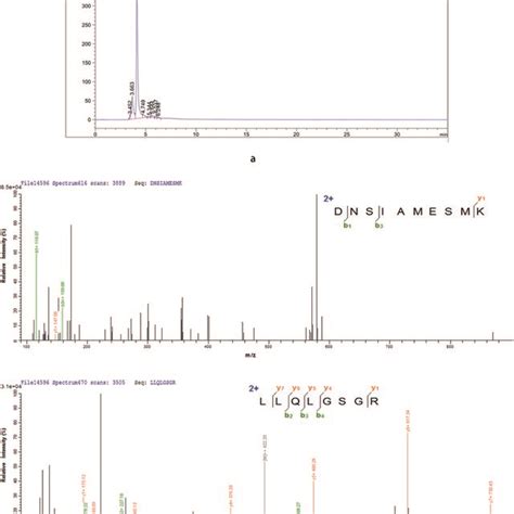 Peptide Identification From The F31 Fraction Via LC MS MS A Shows