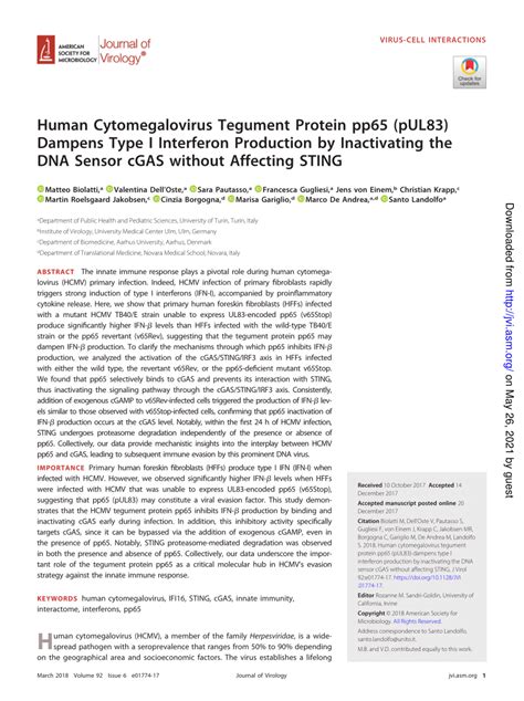 Pdf The Human Cytomegalovirus Tegument Protein Pp Pul Dampens