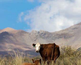 Vintage Bronze Helmco Lacy Hot Chocolate By TheBlondeDutchGirl