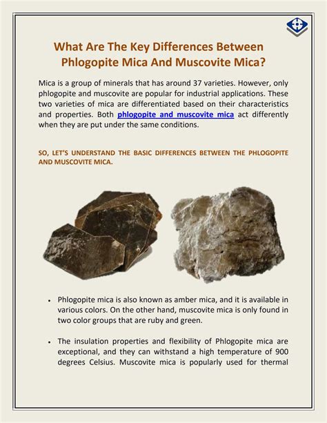 What Are The Key Differences Between Phlogopite Mica And Muscovite Mica