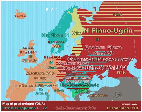 Haplogrupa Dynarska Genetyka Słowianie Ydna I2a1b2 L621