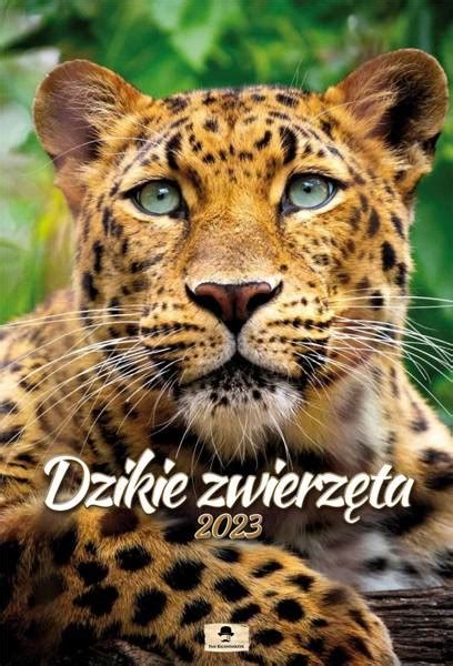 Kalendarz 2023 A3 Ścienny Dzikie Zwierzęta KSIĄŻKI Kalendarze