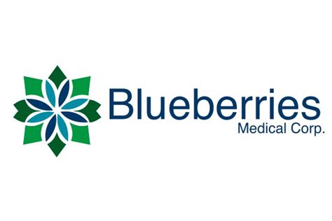 Blueberries Medical Ingresa Al Mercado Peruano De Cannabis Medicinal