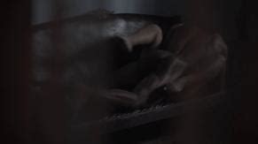 Dana Estevez Nude Aznude