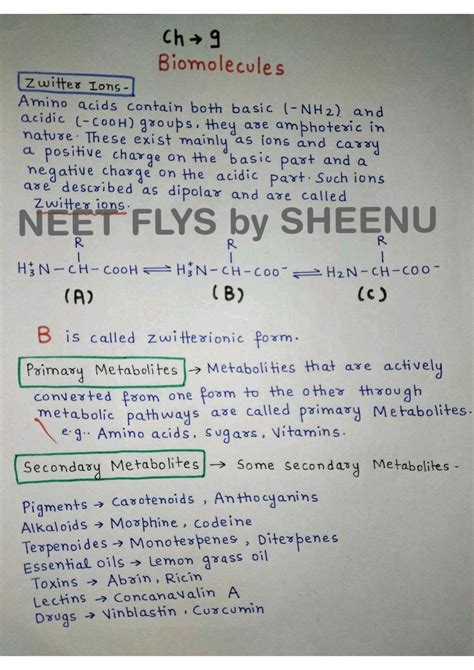 Solution Biomolecules Class 11 Notes Studypool