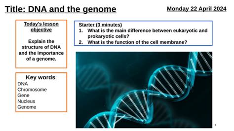 Aqa Gcse Biology Lesson 1 Dna And The Genome Inheritance