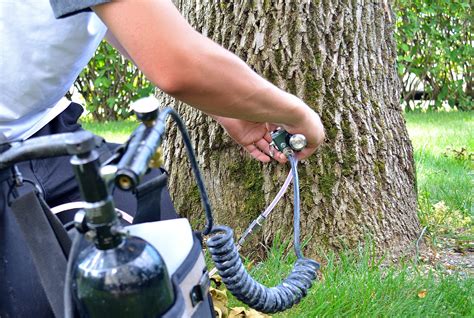 Emerald Ash Borer Treatment Cost Rick S Certified Arborists