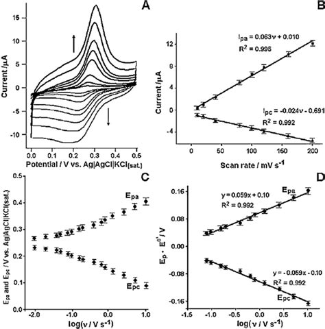 A Cyclic Voltammograms Of Pgeqh 2 In 01 M Phosphate Buffer Solution Download Scientific