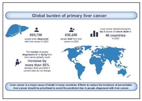 Liver Cancer Cases And Deaths Projected To Rise By More Than 55 By 2040