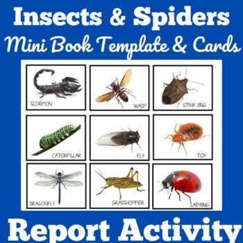 Bugs and Insects | Research Report Template Graphic Organizers Science ...