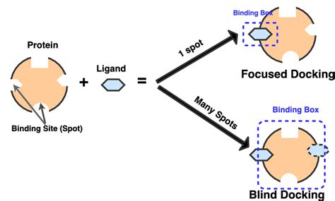 Simple Blind Docking Biocode