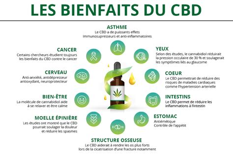 Cbd Bienfaits Et Vertus Du Cannabidiol Comment Le Consommer