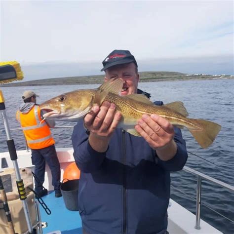 Tope The Highlight Of Some Great Fishing In Galway Bay Fishing In