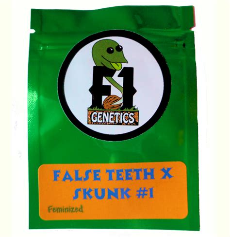 False Teeth x Skunk #1 Feminized - F1 GENETICS