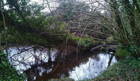 Les pêcheurs de Rosporden cherchent des bénévoles pour nettoyer les