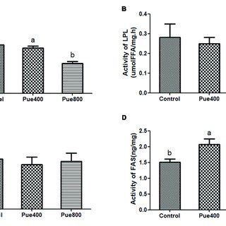 Effect Of Puerarin On The Activity Of Fat Metabolizing Enzymes In