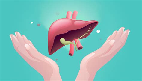 Liver Biopsy Review For Lab Professionals