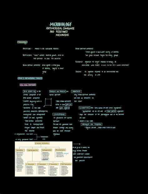 Antibiotics X Resistance Mechanisms Micr Queensu Studocu