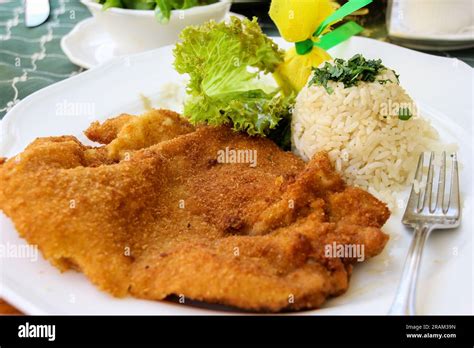 Schnitzel Rezept Fotos Und Bildmaterial In Hoher Aufl Sung Alamy