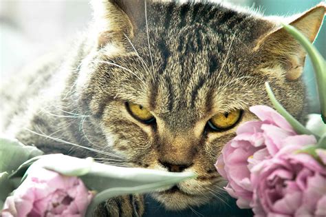 Жилой комплекс "Дубровка" - Home | Facebook