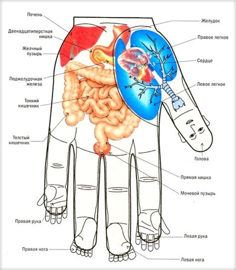 СуДжок: техники, методики, практики