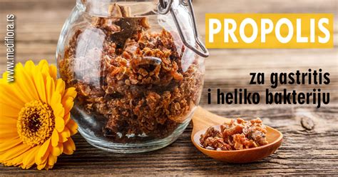 Propolis za gastritis i heliko bakteriju - Mediflora