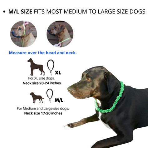 onlyleash_dogleash_sizechart_0f9b8921-090c-49b9-b4fa-36527e82fcdb ...