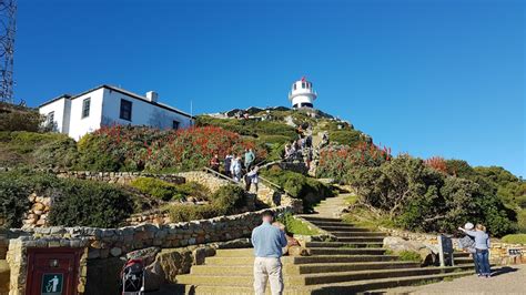 Kaphalvön Cape Point tur Upptäck skönheten i Sydafrikas kustlinje