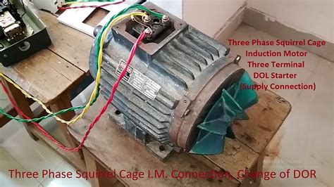 Constructional Diagram Of Three Phase Squirrel Cage Inductio