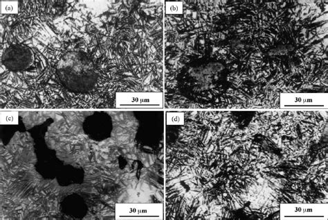 Microstructure changes during austempering at 300 C for 30 min after... | Download Scientific ...