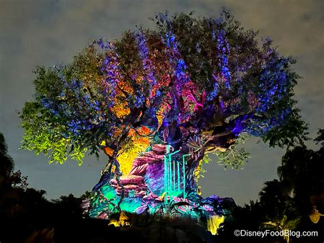 We’re at Extended Evening Hours in Animal Kingdom — Come With Us