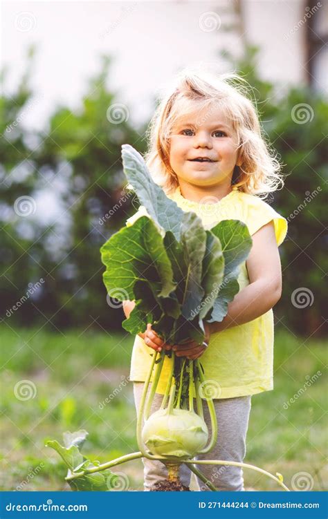 Schattig Meisje Met Kohlrabi In Groentetuin Gelukkig Kind Met Plezier