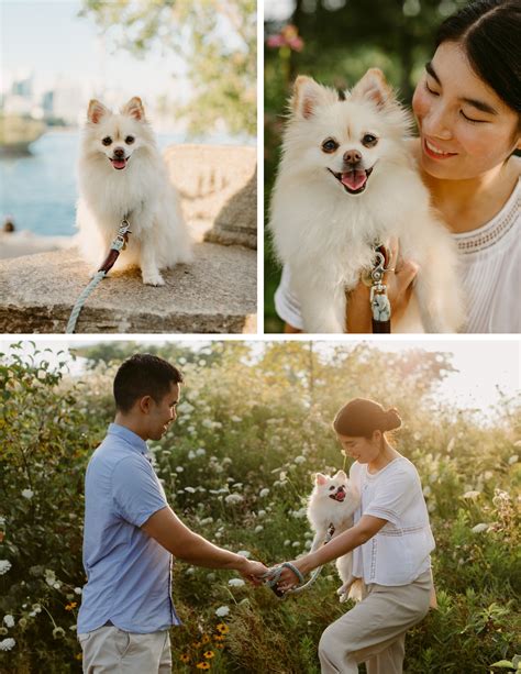 Trillium Park Pet Session Danica Oliva Pet Photography Danica Oliva