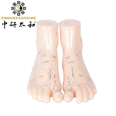 ZHONGYAN TAIHE Pair Of Human Feet Acupoint Model For Reflexology