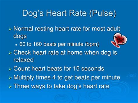 Ppt Vital Signs Of Dogs Powerpoint Presentation Free Download Id