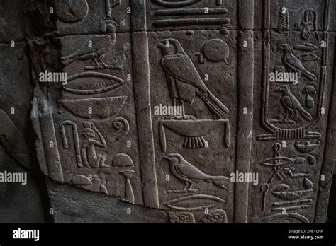 Various Birds Especially The Falcon Appear Among The Ancient Egyptian