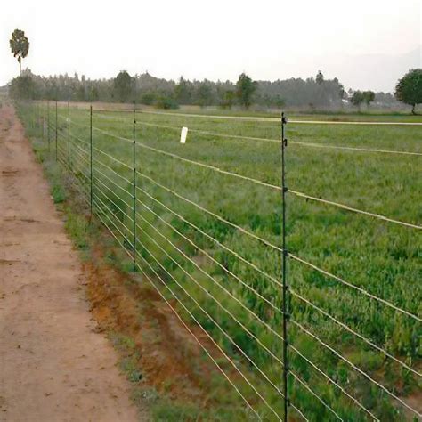 Iron Silver Agriculture Solar Electric Fencing At ₹ 150meter In Surendranagar