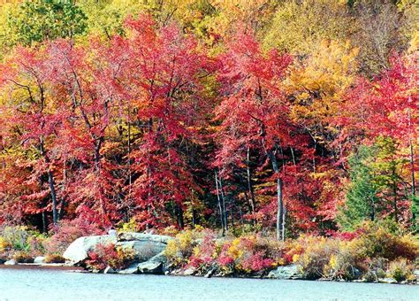 Fall Foliage at the Lakes of the Delaware Water Gap