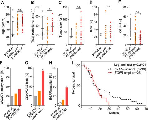 Associations Of Egfr Amplification In Idh Wt Gbm A Age At Diagnosis