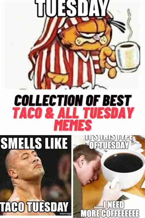 Taco Tuesday and All Other TUESDAY MEMES 2023