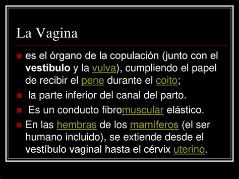 Female Reproductive System Ppt Descargar