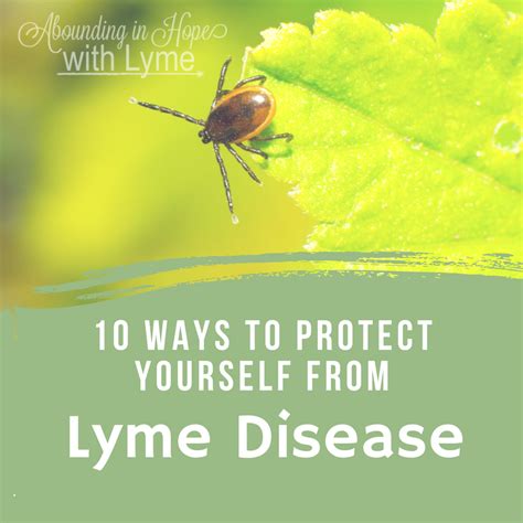 10 Ways To Protect Yourself From Lyme Disease • Abounding In Hope With Lyme