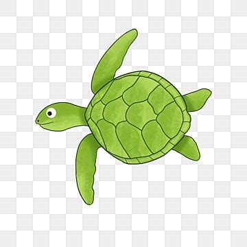 Sea Turtle PNG Transparent Images Free Download | Vector Files | Pngtree