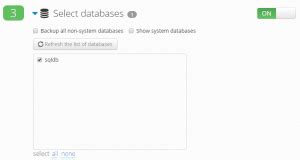 Select Databases To Backup In Sqlbak Sqlbak Blog