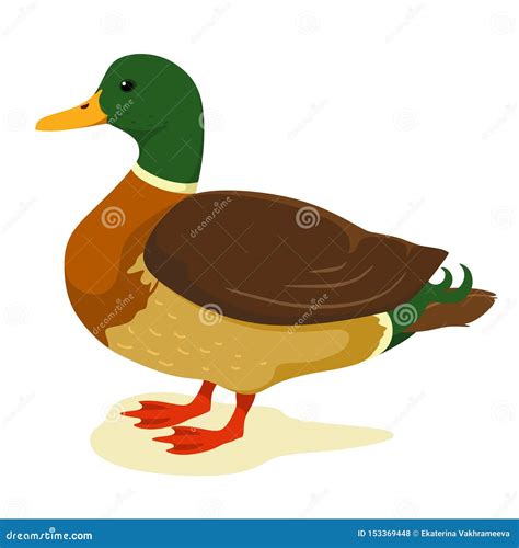 Pato Bonito No Estilo Dos Desenhos Animados Ilustra O Do Vetor No