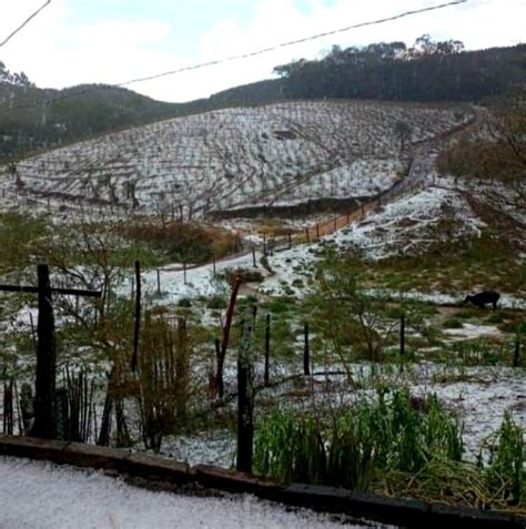 Mais De 16 Mil Hectares Foram Atingidos Pelas Chuvas De Granizo Em